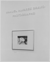 The Museum of Modern Art Archives, New York