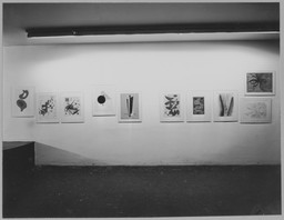 Installation photo, 11 of 18