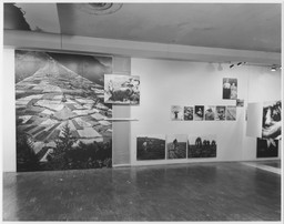 Installation photo, 44 of 90