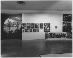 Installation photo, 46 of 90