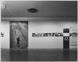 Installation photo, 49 of 90
