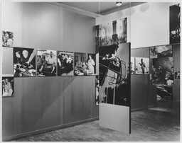 Installation photo, 60 of 90
