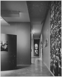 Installation photo, 17 of 90