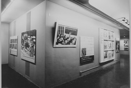 The Museum of Modern Art Archives, New York