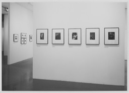 Installation photo, 8 of 17