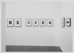 Installation photo, 9 of 17