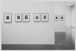 Installation photo, 11 of 17