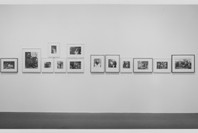 Photographs of Women. Sep 7–Nov 30, 1971. 1 other work identified