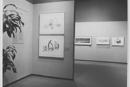 The Museum of Modern Art Archives, New York