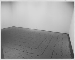 The Museum of Modern Art Archives, New York