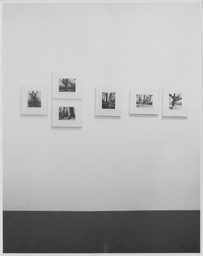 Installation photo, 2 of 6
