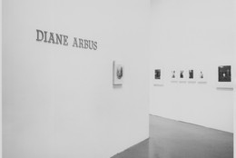 The Museum of Modern Art Archives, New York