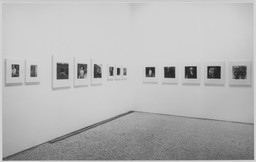 Installation photo, 12 of 15