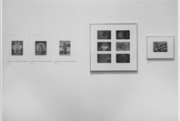 Photography: Recent Acquisitions. Jul 17–Oct 10, 1973. 4 other works identified