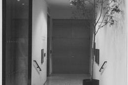 The Museum of Modern Art Archives, New York