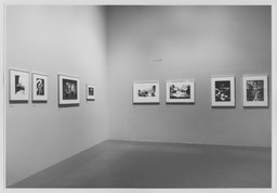 New Japanese Photography | MoMA