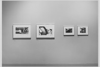 New Japanese Photography. Mar 27–May 19, 1974. 1 other work identified