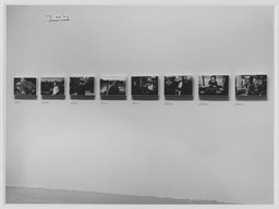 Installation photo, 16 of 26