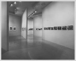 Installation photo, 18 of 26