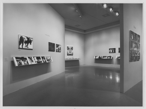 Daidō Moriyama (森山 大道). Stray Dog, Misawa. 1971 | MoMA
