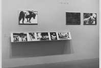 New Japanese Photography. Mar 27–May 19, 1974. 5 other works identified