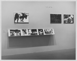 Installation photo, 20 of 26