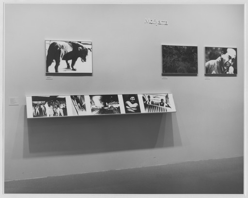 Daidō Moriyama (森山 大道). Stray Dog, Misawa. 1971 | MoMA