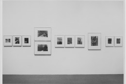 The Museum of Modern Art Archives, New York