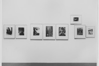Kertész, Rodchenko, and Moholy-Nagy: Photographs from the Collection. Jan 28–Jun 9, 1974. 3 other works identified