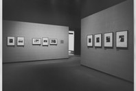 Félix Vallotton: Woodcuts of the 1890s. Feb 15–Apr 28, 1974. 2 other works identified
