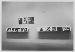 Installation photo, 6 of 26