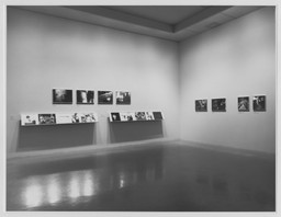 Installation photo, 7 of 26