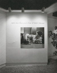 Installation photo, 10 of 59
