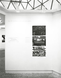 Installation photo, 24 of 59