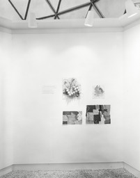 Installation photo, 26 of 59