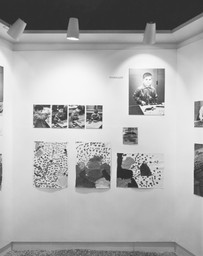 Installation photo, 41 of 59