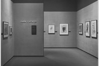 Cubism and Its Affinities. Feb 9–May 9, 1976.