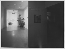 Installation photo, 1 of 12