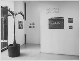 Installation photo, 10 of 10