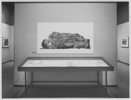 Installation photo, 4 of 18