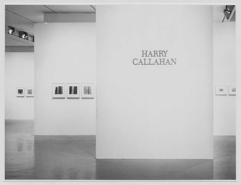 アート・デザイン・音楽 Harry Callahan photographs An exhibition Harry Callahan | MoMA