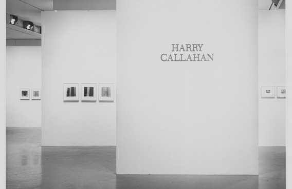 Harry Callahan | MoMA