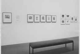 The Museum of Modern Art Archives, New York