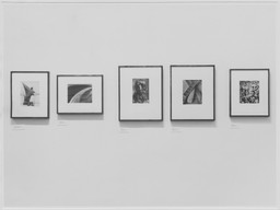 Installation photo, 3 of 5