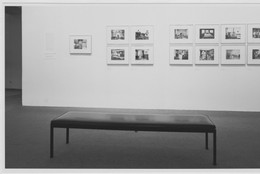 The Museum of Modern Art Archives, New York