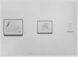 Installation photo, 3 of 3