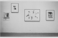 Impressions. Sep 23, 1977–Jan 3, 1978. 1 other work identified