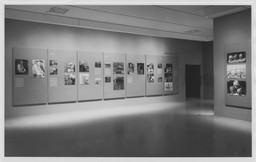Installation photo, 3 of 32