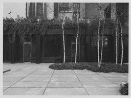 Eight Contemporary Artists | MoMA