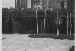 The Museum of Modern Art Archives, New York